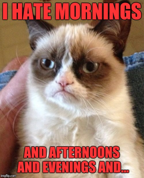 Grumpy Cat Meme | I HATE MORNINGS; AND AFTERNOONS AND EVENINGS AND... | image tagged in memes,grumpy cat | made w/ Imgflip meme maker