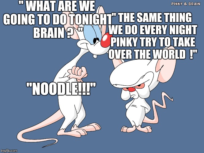 Pinky Brain | " WHAT ARE WE GOING TO DO TONIGHT BRAIN ?  "; "NOODLE!!!"; " THE SAME THING WE DO EVERY NIGHT PINKY
TRY TO TAKE OVER THE WORLD  !" | image tagged in pinky brain | made w/ Imgflip meme maker