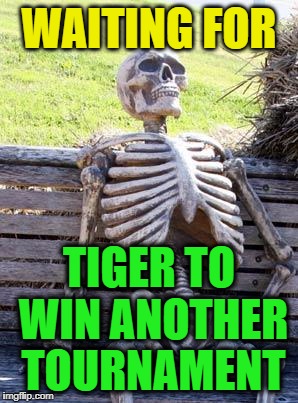 Waiting Skeleton Meme | WAITING FOR TIGER TO WIN ANOTHER TOURNAMENT | image tagged in memes,waiting skeleton | made w/ Imgflip meme maker