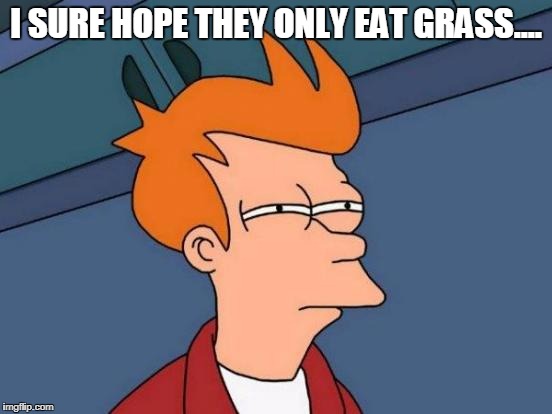 Futurama Fry Meme | I SURE HOPE THEY ONLY EAT GRASS.... | image tagged in memes,futurama fry | made w/ Imgflip meme maker