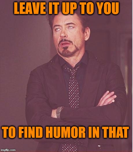 Face You Make Robert Downey Jr Meme | LEAVE IT UP TO YOU TO FIND HUMOR IN THAT | image tagged in memes,face you make robert downey jr | made w/ Imgflip meme maker