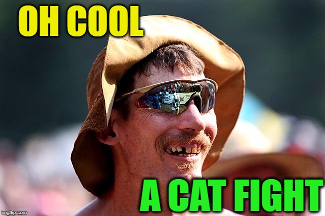 OH COOL A CAT FIGHT | image tagged in redneck | made w/ Imgflip meme maker