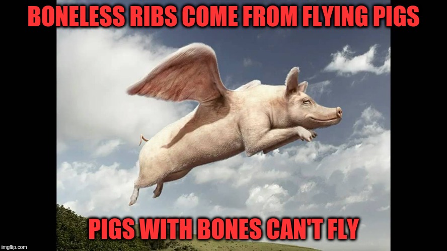 BONELESS RIBS COME FROM FLYING PIGS PIGS WITH BONES CAN'T FLY | made w/ Imgflip meme maker