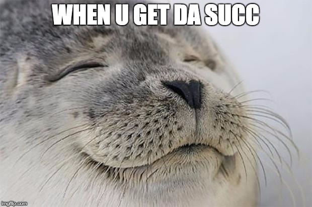 Satisfied Seal Meme | WHEN U GET DA SUCC | image tagged in memes,satisfied seal | made w/ Imgflip meme maker