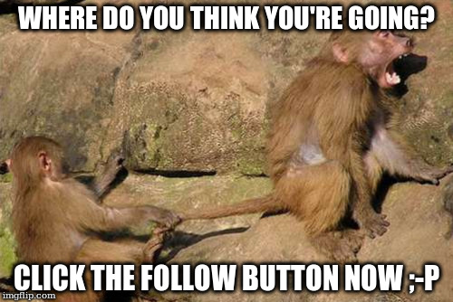 WHERE DO YOU THINK YOU'RE GOING? CLICK THE FOLLOW BUTTON NOW ;-P | made w/ Imgflip meme maker