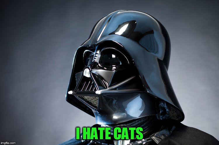 I HATE CATS | made w/ Imgflip meme maker