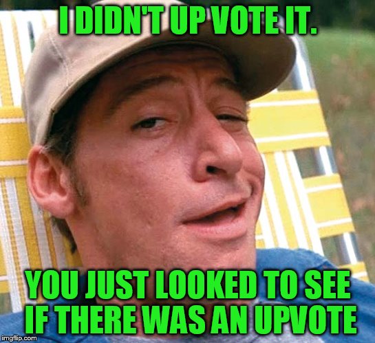 I DIDN'T UP VOTE IT. YOU JUST LOOKED TO SEE IF THERE WAS AN UPVOTE | made w/ Imgflip meme maker