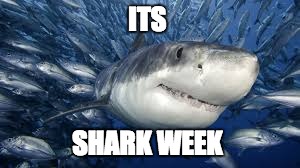 ITS; SHARK WEEK | image tagged in shark week,sharks | made w/ Imgflip meme maker