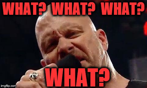 stone cold what | WHAT?  WHAT?  WHAT? WHAT? | image tagged in stone cold what | made w/ Imgflip meme maker