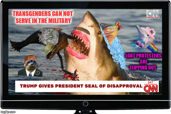 "New developments" CNN coverage of shark week   | TRANSGENDERS CAN NOT SERVE IN THE MILITARY LGBT PROTESTERS ARE FLIPPING OUT | image tagged in shark week,transgender,seal of approval,memes,funny | made w/ Imgflip meme maker
