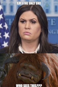 Sarah Ludo Sanders | AM I THE ONLY ONE; WHO SEES THIS??? | image tagged in trump | made w/ Imgflip meme maker