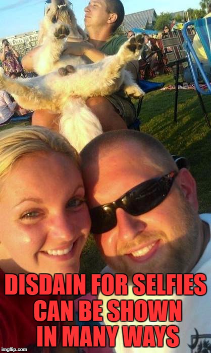 You'll get your balls to the wall, man..
Balls to the wall, balls to the wall | DISDAIN FOR SELFIES CAN BE SHOWN IN MANY WAYS | image tagged in selfies | made w/ Imgflip meme maker