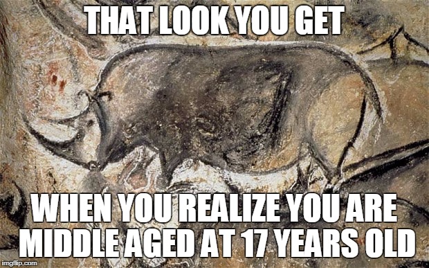 Cave Rhino | THAT LOOK YOU GET; WHEN YOU REALIZE YOU ARE MIDDLE AGED AT 17 YEARS OLD | image tagged in cave rhino | made w/ Imgflip meme maker