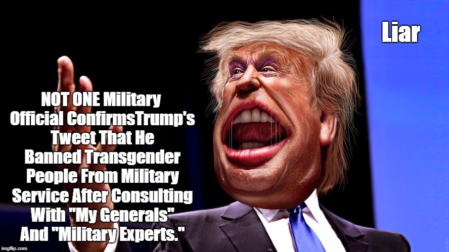 Liar NOT ONE Military Official ConfirmsTrump's Tweet That He Banned Transgender People From Military Service After Consulting With "My Gener | made w/ Imgflip meme maker