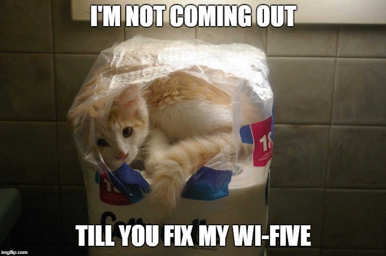 I'M NOT COMING OUT; TILL YOU FIX MY WI-FIVE | image tagged in cute kittens | made w/ Imgflip meme maker