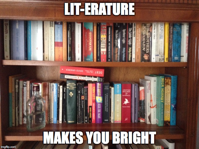 LITerature makes you bright | LIT-ERATURE; MAKES YOU BRIGHT | image tagged in literature,lit,books | made w/ Imgflip meme maker