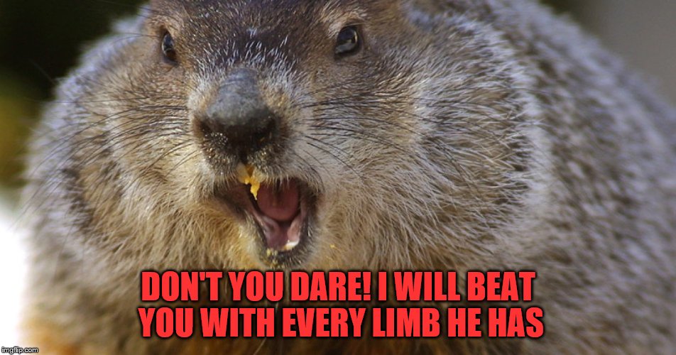 DON'T YOU DARE! I WILL BEAT YOU WITH EVERY LIMB HE HAS | made w/ Imgflip meme maker
