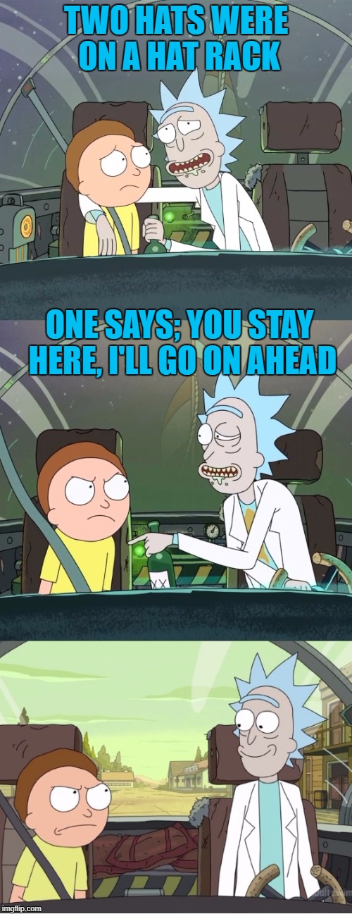 Rick & Morty Season Three! | TWO HATS WERE ON A HAT RACK; ONE SAYS; YOU STAY HERE, I'LL GO ON AHEAD | image tagged in bad pun rick  morty | made w/ Imgflip meme maker