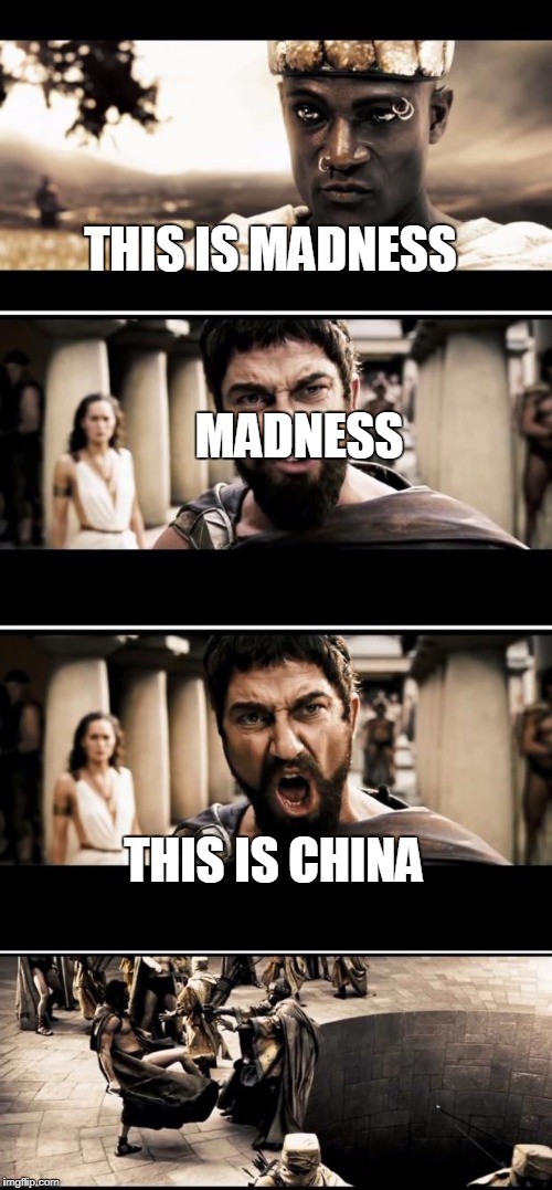 Sparta | THIS IS MADNESS; MADNESS; THIS IS CHINA | image tagged in sparta | made w/ Imgflip meme maker