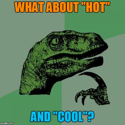 Philosoraptor Meme | WHAT ABOUT "HOT" AND "COOL"? | image tagged in memes,philosoraptor | made w/ Imgflip meme maker