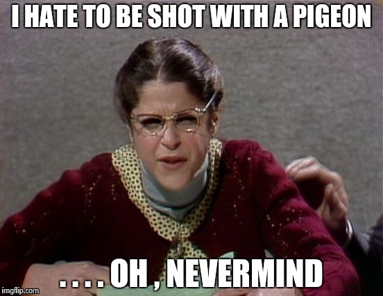 I HATE TO BE SHOT WITH A PIGEON . . . . OH , NEVERMIND | image tagged in emily litella | made w/ Imgflip meme maker