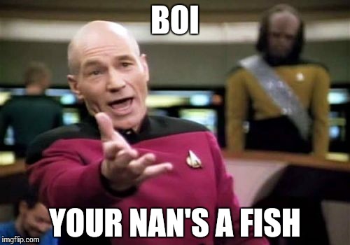 Picard Wtf | BOI; YOUR NAN'S A FISH | image tagged in memes,picard wtf | made w/ Imgflip meme maker