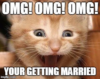 Excited Cat Meme | OMG! OMG! OMG! YOUR GETTING MARRIED | image tagged in memes,excited cat | made w/ Imgflip meme maker