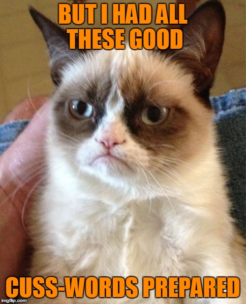 Grumpy Cat Meme | BUT I HAD ALL THESE GOOD CUSS-WORDS PREPARED | image tagged in memes,grumpy cat | made w/ Imgflip meme maker