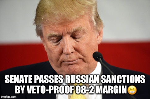 SENATE PASSES RUSSIAN SANCTIONS BY VETO-PROOF 98-2 MARGIN😁 | image tagged in trump tko'd | made w/ Imgflip meme maker