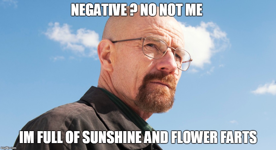 NEGATIVE ? NO NOT ME; IM FULL OF SUNSHINE AND FLOWER FARTS | made w/ Imgflip meme maker