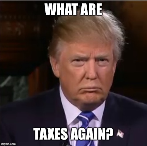 Donald Trump sulk | WHAT ARE; TAXES AGAIN? | image tagged in donald trump sulk | made w/ Imgflip meme maker