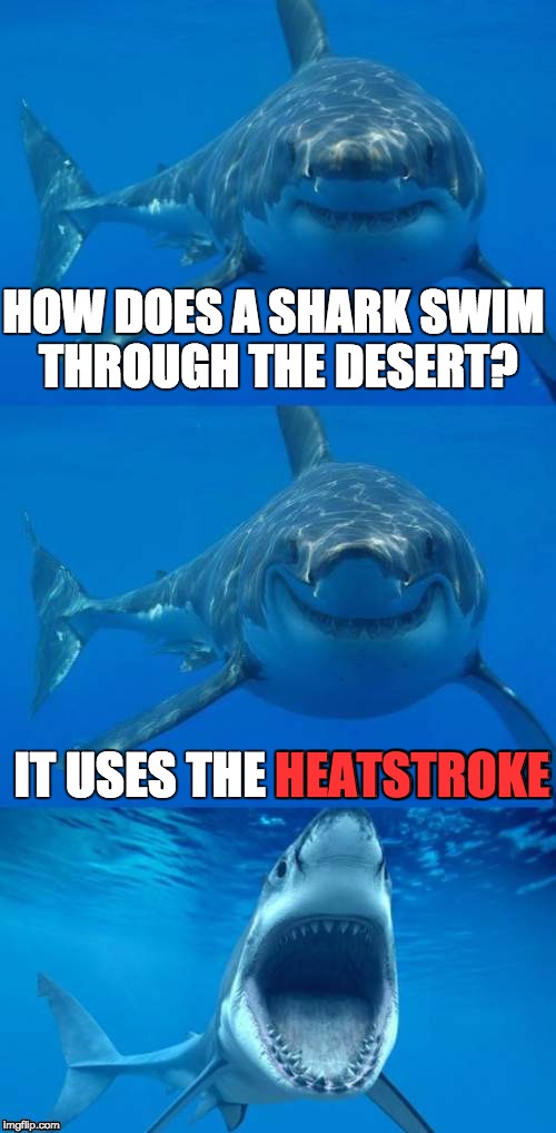 Bad Shark Pun | HOW DOES A SHARK SWIM THROUGH THE DESERT? IT USES THE HEATSTROKE; HEATSTROKE | image tagged in bad shark pun,desert,swimming,heatstroke,pun | made w/ Imgflip meme maker