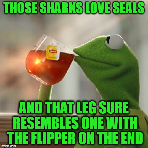 But That's None Of My Business Meme | THOSE SHARKS LOVE SEALS AND THAT LEG SURE RESEMBLES ONE WITH THE FLIPPER ON THE END | image tagged in memes,but thats none of my business,kermit the frog | made w/ Imgflip meme maker