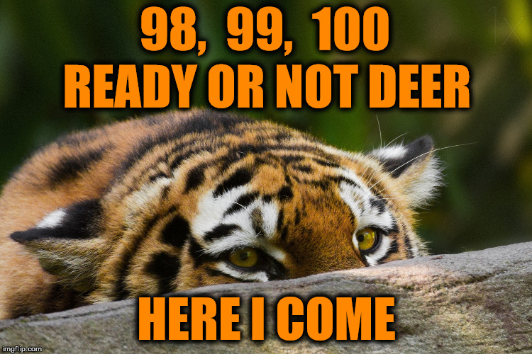 I think the tiger cheats at hide-and-seek | 98,  99,  100; READY OR NOT DEER; HERE I COME | image tagged in hidden tiger,hide and seek,joke | made w/ Imgflip meme maker