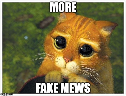 Shrek Cat Meme | MORE; FAKE MEWS | image tagged in memes,shrek cat | made w/ Imgflip meme maker