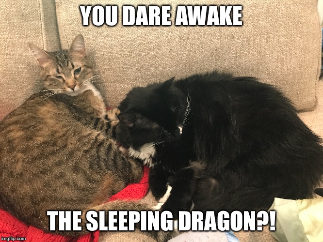 YOU DARE AWAKE; THE SLEEPING DRAGON?! | made w/ Imgflip meme maker