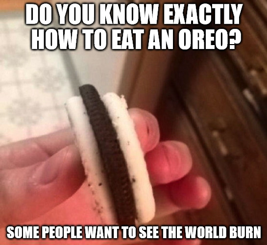 there's ALWAYS that one guy in the crowd | DO YOU KNOW EXACTLY HOW TO EAT AN OREO? SOME PEOPLE WANT TO SEE THE WORLD BURN | image tagged in oreo,cookie,watch the world burn,memes | made w/ Imgflip meme maker