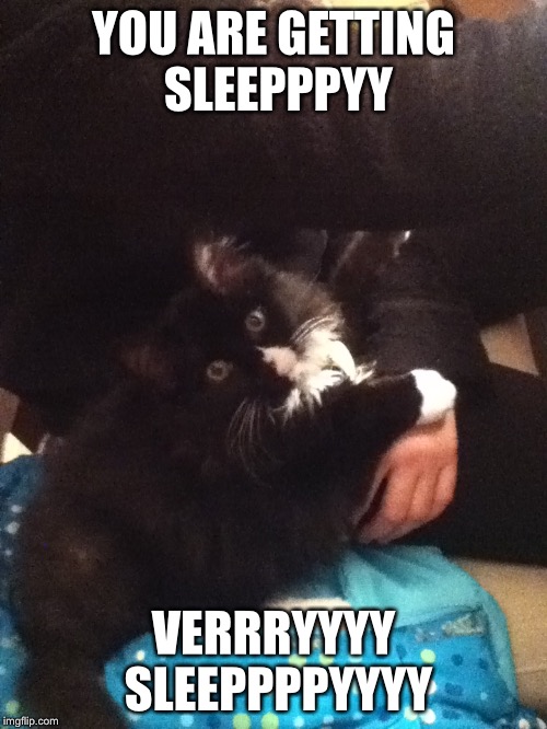 YOU ARE GETTING SLEEPPPYY; VERRRYYYY SLEEPPPPYYYY | made w/ Imgflip meme maker