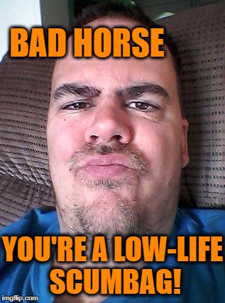Scowl | BAD HORSE YOU'RE A LOW-LIFE SCUMBAG! | image tagged in scowl | made w/ Imgflip meme maker