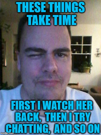 wink | THESE THINGS TAKE TIME FIRST I WATCH HER BACK,  THEN I TRY CHATTING,  AND SO ON | image tagged in wink | made w/ Imgflip meme maker