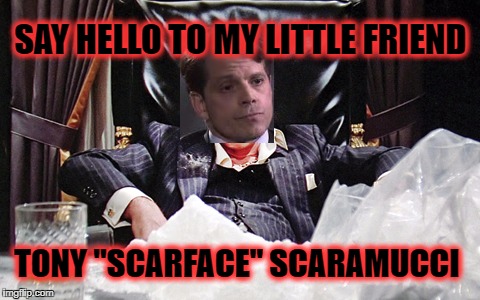 Mafia Gains Foothold in White House | SAY HELLO TO MY LITTLE FRIEND; TONY "SCARFACE" SCARAMUCCI | image tagged in trump,anthony scaramucci,scaramucci,scarface | made w/ Imgflip meme maker