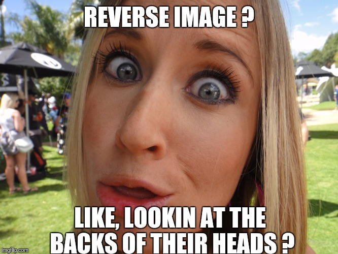 Memes | REVERSE IMAGE ? LIKE, LOOKIN AT THE BACKS OF THEIR HEADS ? | image tagged in memes | made w/ Imgflip meme maker