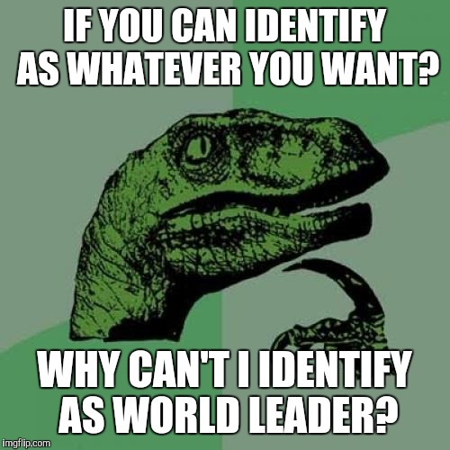Philosoraptor Meme | IF YOU CAN IDENTIFY AS WHATEVER YOU WANT? WHY CAN'T I IDENTIFY AS WORLD LEADER? | image tagged in memes,philosoraptor | made w/ Imgflip meme maker