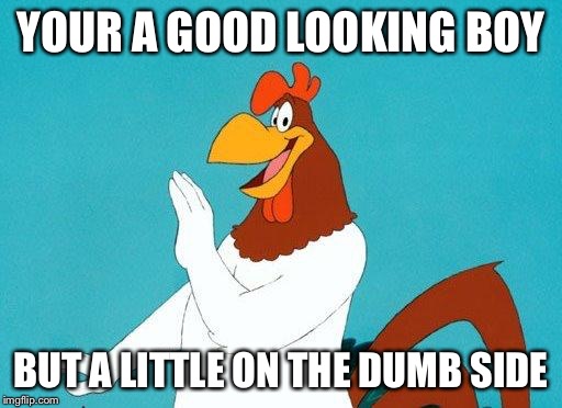 Foghorn Leghorn | YOUR A GOOD LOOKING BOY; BUT A LITTLE ON THE DUMB SIDE | image tagged in foghorn leghorn | made w/ Imgflip meme maker