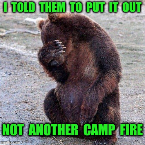 Poor animals | I  TOLD  THEM  TO  PUT  IT  OUT; NOT  ANOTHER  CAMP  FIRE | image tagged in poor animals | made w/ Imgflip meme maker