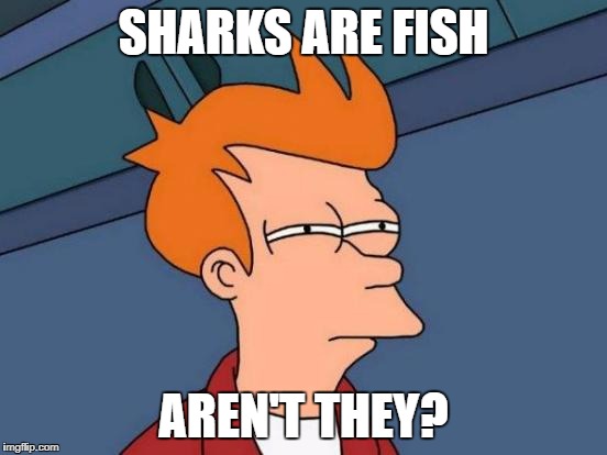 Futurama Fry Meme | SHARKS ARE FISH AREN'T THEY? | image tagged in memes,futurama fry | made w/ Imgflip meme maker