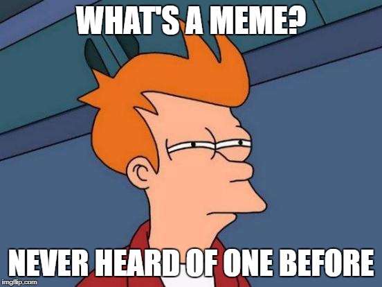 Futurama Fry Meme | WHAT'S A MEME? NEVER HEARD OF ONE BEFORE | image tagged in memes,futurama fry | made w/ Imgflip meme maker