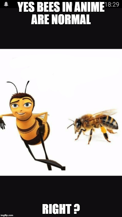 YES BEES IN ANIME ARE NORMAL; RIGHT ? | image tagged in when your class don't know about dank memes so you gotta deal wi | made w/ Imgflip meme maker