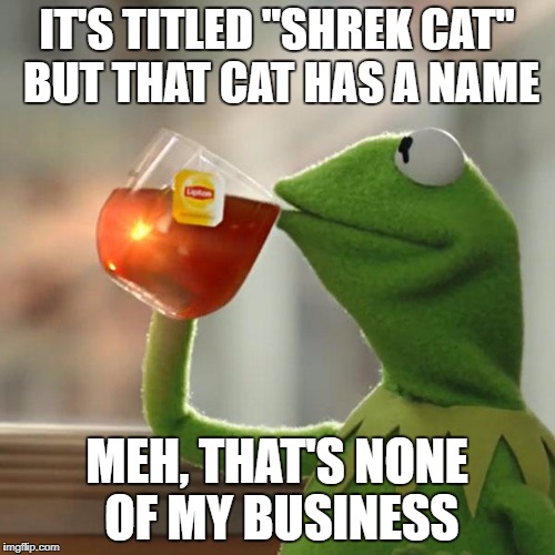 But That's None Of My Business Meme | IT'S TITLED "SHREK CAT" BUT THAT CAT HAS A NAME MEH, THAT'S NONE OF MY BUSINESS | image tagged in memes,but thats none of my business,kermit the frog | made w/ Imgflip meme maker
