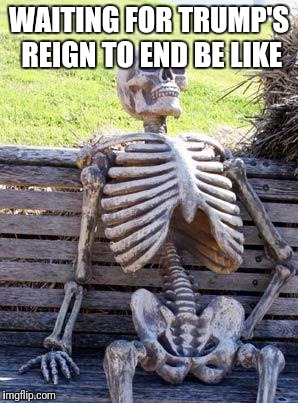 Waiting Skeleton Meme | WAITING FOR TRUMP'S REIGN TO END BE LIKE | image tagged in memes,waiting skeleton | made w/ Imgflip meme maker